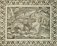 An illustration from Omnia Andreae Alciati v. c. emblemata : cum commentariis, quibus emblematum omnium aperta origine, mens authoris explicatur, & obscura omnia dubiaque illustrantur (1583)