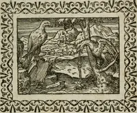 Picture 171 of 263 from Omnia Andreae Alciati v. c. emblemata : cum commentariis, quibus emblematum omnium aperta origine, mens authoris explicatur, & obscura omnia dubiaque illustrantur (1583), leaf 448