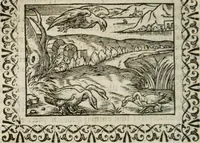 An illustration from Omnia Andreae Alciati v. c. emblemata : cum commentariis, quibus emblematum omnium aperta origine, mens authoris explicatur, & obscura omnia dubiaque illustrantur (1583)