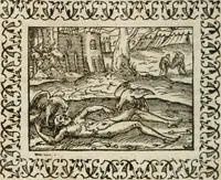 Picture 206 of 263 from Omnia Andreae Alciati v. c. emblemata : cum commentariis, quibus emblematum omnium aperta origine, mens authoris explicatur, & obscura omnia dubiaque illustrantur (1583), leaf 531