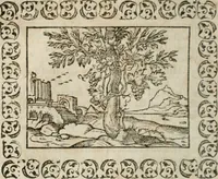 An illustration from Omnia Andreae Alciati v. c. emblemata : cum commentariis, quibus emblematum omnium aperta origine, mens authoris explicatur, & obscura omnia dubiaque illustrantur (1583)