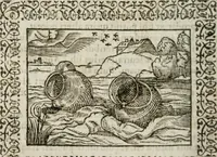 Picture 215 of 263 from Omnia Andreae Alciati v. c. emblemata : cum commentariis, quibus emblematum omnium aperta origine, mens authoris explicatur, & obscura omnia dubiaque illustrantur (1583), leaf 549