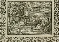 Picture 235 of 263 from Omnia Andreae Alciati v. c. emblemata : cum commentariis, quibus emblematum omnium aperta origine, mens authoris explicatur, & obscura omnia dubiaque illustrantur (1583), leaf 612