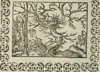 An illustration from Omnia Andreae Alciati v. c. emblemata : cum commentariis, quibus emblematum omnium aperta origine, mens authoris explicatur, & obscura omnia dubiaque illustrantur (1583)