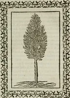 Picture 249 of 263 from Omnia Andreae Alciati v. c. emblemata : cum commentariis, quibus emblematum omnium aperta origine, mens authoris explicatur, & obscura omnia dubiaque illustrantur (1583), leaf 652