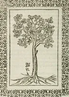 An illustration from Omnia Andreae Alciati v. c. emblemata : cum commentariis, quibus emblematum omnium aperta origine, mens authoris explicatur, & obscura omnia dubiaque illustrantur (1583)