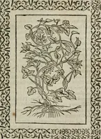 Picture 256 of 263 from Omnia Andreae Alciati v. c. emblemata : cum commentariis, quibus emblematum omnium aperta origine, mens authoris explicatur, & obscura omnia dubiaque illustrantur (1583), leaf 662