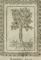 Picture 260 of 263 from Omnia Andreae Alciati v. c. emblemata : cum commentariis, quibus emblematum omnium aperta origine, mens authoris explicatur, & obscura omnia dubiaque illustrantur (1583), leaf 672