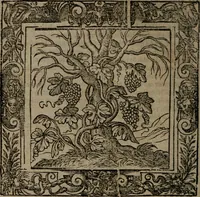 An illustration from Omnia Andreae Alciati v.c. emblemata : cum commentariis, quibus emblematum omnium aperta origine, mens auctoris explicatur, & obscura omnia dubiaque illustrantur (1581)