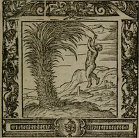 An illustration from Omnia Andreae Alciati v.c. emblemata : cum commentariis, quibus emblematum omnium aperta origine, mens auctoris explicatur, & obscura omnia dubiaque illustrantur (1581)