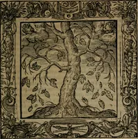 An illustration from Omnia Andreae Alciati v.c. emblemata : cum commentariis, quibus emblematum omnium aperta origine, mens auctoris explicatur, & obscura omnia dubiaque illustrantur (1581)