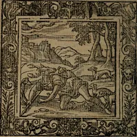 Picture 74 of 269 from Omnia Andreae Alciati v.c. emblemata : cum commentariis, quibus emblematum omnium aperta origine, mens auctoris explicatur, & obscura omnia dubiaque illustrantur (1581), leaf 245
