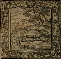 An illustration from Omnia Andreae Alciati v.c. emblemata : cum commentariis, quibus emblematum omnium aperta origine, mens auctoris explicatur, & obscura omnia dubiaque illustrantur (1581)