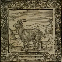 Picture 90 of 269 from Omnia Andreae Alciati v.c. emblemata : cum commentariis, quibus emblematum omnium aperta origine, mens auctoris explicatur, & obscura omnia dubiaque illustrantur (1581), leaf 278