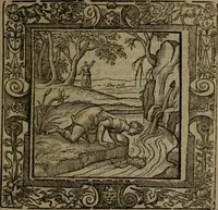 Picture 97 of 269 from Omnia Andreae Alciati v.c. emblemata : cum commentariis, quibus emblematum omnium aperta origine, mens auctoris explicatur, & obscura omnia dubiaque illustrantur (1581), leaf 292