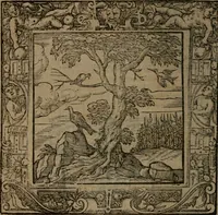 An illustration from Omnia Andreae Alciati v.c. emblemata : cum commentariis, quibus emblematum omnium aperta origine, mens auctoris explicatur, & obscura omnia dubiaque illustrantur (1581)