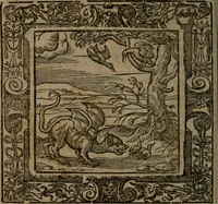 An illustration from Omnia Andreae Alciati v.c. emblemata : cum commentariis, quibus emblematum omnium aperta origine, mens auctoris explicatur, & obscura omnia dubiaque illustrantur (1581)