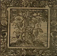 An illustration from Omnia Andreae Alciati v.c. emblemata : cum commentariis, quibus emblematum omnium aperta origine, mens auctoris explicatur, & obscura omnia dubiaque illustrantur (1581)