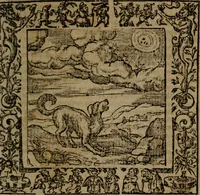 An illustration from Omnia Andreae Alciati v.c. emblemata : cum commentariis, quibus emblematum omnium aperta origine, mens auctoris explicatur, & obscura omnia dubiaque illustrantur (1581)
