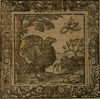 Picture 213 of 269 from Omnia Andreae Alciati v.c. emblemata : cum commentariis, quibus emblematum omnium aperta origine, mens auctoris explicatur, & obscura omnia dubiaque illustrantur (1581), leaf 613