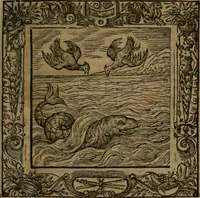 Picture 215 of 269 from Omnia Andreae Alciati v.c. emblemata : cum commentariis, quibus emblematum omnium aperta origine, mens auctoris explicatur, & obscura omnia dubiaque illustrantur (1581), leaf 616