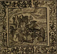 Picture 225 of 269 from Omnia Andreae Alciati v.c. emblemata : cum commentariis, quibus emblematum omnium aperta origine, mens auctoris explicatur, & obscura omnia dubiaque illustrantur (1581), leaf 644