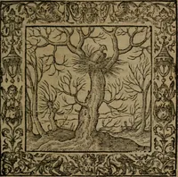 An illustration from Omnia Andreae Alciati v.c. emblemata : cum commentariis, quibus emblematum omnium aperta origine, mens auctoris explicatur, & obscura omnia dubiaque illustrantur (1581)
