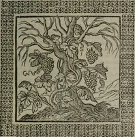 An illustration from Omnia Andreae Alciati v.c. emblemata : cum commentariis, quibus emblematum omnium aperta origine, mens auctoris explicatur, & obscura omnia dubiáque illustrantur (1577)