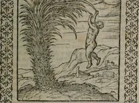 Picture 51 of 258 from Omnia Andreae Alciati v.c. emblemata : cum commentariis, quibus emblematum omnium aperta origine, mens auctoris explicatur, & obscura omnia dubiáque illustrantur (1577), leaf 180
