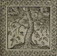 An illustration from Omnia Andreae Alciati v.c. emblemata : cum commentariis, quibus emblematum omnium aperta origine, mens auctoris explicatur, & obscura omnia dubiáque illustrantur (1577)