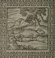 An illustration from Omnia Andreae Alciati v.c. emblemata : cum commentariis, quibus emblematum omnium aperta origine, mens auctoris explicatur, & obscura omnia dubiáque illustrantur (1577)