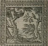 Picture 80 of 258 from Omnia Andreae Alciati v.c. emblemata : cum commentariis, quibus emblematum omnium aperta origine, mens auctoris explicatur, & obscura omnia dubiáque illustrantur (1577), leaf 243