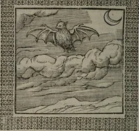 Picture 81 of 258 from Omnia Andreae Alciati v.c. emblemata : cum commentariis, quibus emblematum omnium aperta origine, mens auctoris explicatur, & obscura omnia dubiáque illustrantur (1577), leaf 245