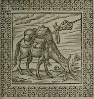 An illustration from Omnia Andreae Alciati v.c. emblemata : cum commentariis, quibus emblematum omnium aperta origine, mens auctoris explicatur, & obscura omnia dubiáque illustrantur (1577)