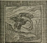 An illustration from Omnia Andreae Alciati v.c. emblemata : cum commentariis, quibus emblematum omnium aperta origine, mens auctoris explicatur, & obscura omnia dubiáque illustrantur (1577)