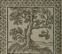 An illustration from Omnia Andreae Alciati v.c. emblemata : cum commentariis, quibus emblematum omnium aperta origine, mens auctoris explicatur, & obscura omnia dubiáque illustrantur (1577)