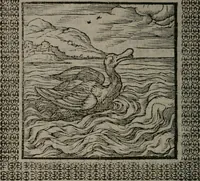 Picture 118 of 258 from Omnia Andreae Alciati v.c. emblemata : cum commentariis, quibus emblematum omnium aperta origine, mens auctoris explicatur, & obscura omnia dubiáque illustrantur (1577), leaf 333