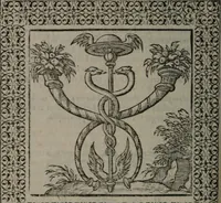 Picture 147 of 258 from Omnia Andreae Alciati v.c. emblemata : cum commentariis, quibus emblematum omnium aperta origine, mens auctoris explicatur, & obscura omnia dubiáque illustrantur (1577), leaf 407
