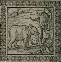 Picture 152 of 258 from Omnia Andreae Alciati v.c. emblemata : cum commentariis, quibus emblematum omnium aperta origine, mens auctoris explicatur, & obscura omnia dubiáque illustrantur (1577), leaf 423