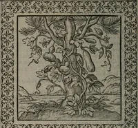 An illustration from Omnia Andreae Alciati v.c. emblemata : cum commentariis, quibus emblematum omnium aperta origine, mens auctoris explicatur, & obscura omnia dubiáque illustrantur (1577)