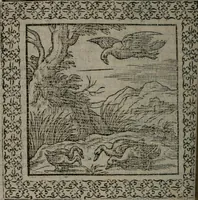Picture 171 of 258 from Omnia Andreae Alciati v.c. emblemata : cum commentariis, quibus emblematum omnium aperta origine, mens auctoris explicatur, & obscura omnia dubiáque illustrantur (1577), leaf 473