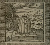 Picture 183 of 258 from Omnia Andreae Alciati v.c. emblemata : cum commentariis, quibus emblematum omnium aperta origine, mens auctoris explicatur, & obscura omnia dubiáque illustrantur (1577), leaf 497