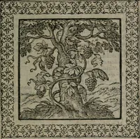 An illustration from Omnia Andreae Alciati v.c. emblemata : cum commentariis, quibus emblematum omnium aperta origine, mens auctoris explicatur, & obscura omnia dubiáque illustrantur (1577)