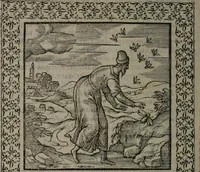 An illustration from Omnia Andreae Alciati v.c. emblemata : cum commentariis, quibus emblematum omnium aperta origine, mens auctoris explicatur, & obscura omnia dubiáque illustrantur (1577)