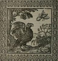 Picture 204 of 258 from Omnia Andreae Alciati v.c. emblemata : cum commentariis, quibus emblematum omnium aperta origine, mens auctoris explicatur, & obscura omnia dubiáque illustrantur (1577), leaf 547