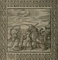 Picture 213 of 258 from Omnia Andreae Alciati v.c. emblemata : cum commentariis, quibus emblematum omnium aperta origine, mens auctoris explicatur, & obscura omnia dubiáque illustrantur (1577), leaf 567