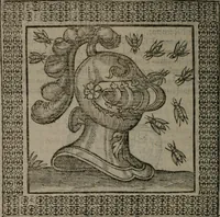 Picture 214 of 258 from Omnia Andreae Alciati v.c. emblemata : cum commentariis, quibus emblematum omnium aperta origine, mens auctoris explicatur, & obscura omnia dubiáque illustrantur (1577), leaf 571