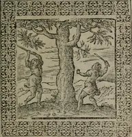 An illustration from Omnia Andreae Alciati v.c. emblemata : cum commentariis, quibus emblematum omnium aperta origine, mens auctoris explicatur, & obscura omnia dubiáque illustrantur (1577)