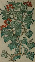 Picture 249 of 258 from Omnia Andreae Alciati v.c. emblemata : cum commentariis, quibus emblematum omnium aperta origine, mens auctoris explicatur, & obscura omnia dubiáque illustrantur (1577), leaf 657