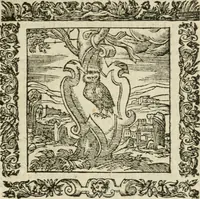 An illustration from Omnia Andreae Alciati V.C. Emblemata : cum commentariis, quibus emblematum detecta origine, dubia omnia, et obscura illustrantur (1602)